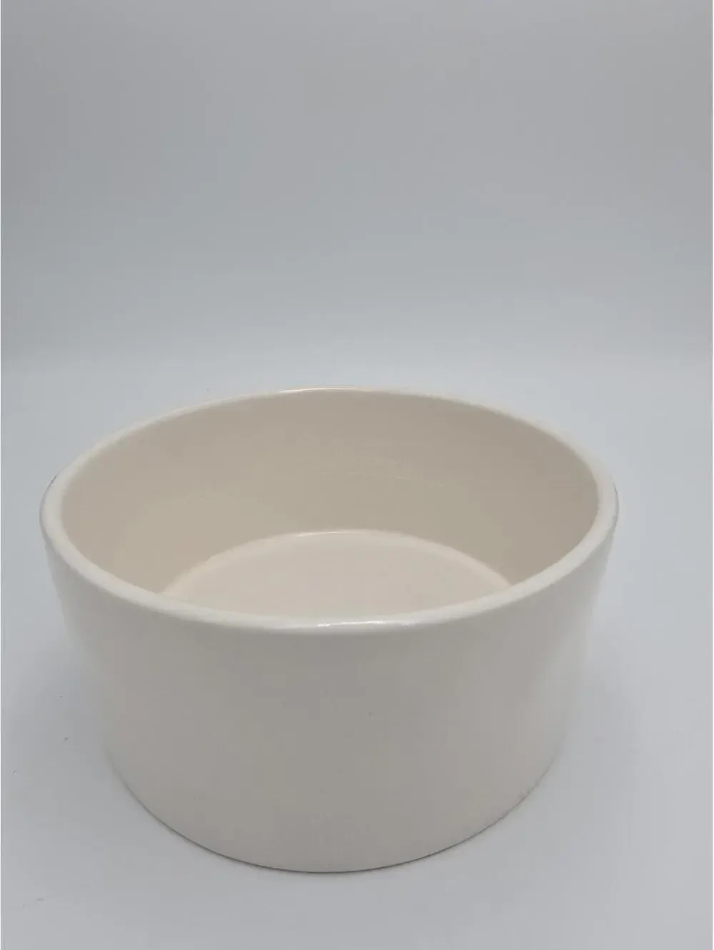 Rae Dunn Black and White Bone Appetit Ceramic Dog Bowl